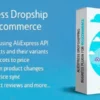 AliExpress Dropshipping